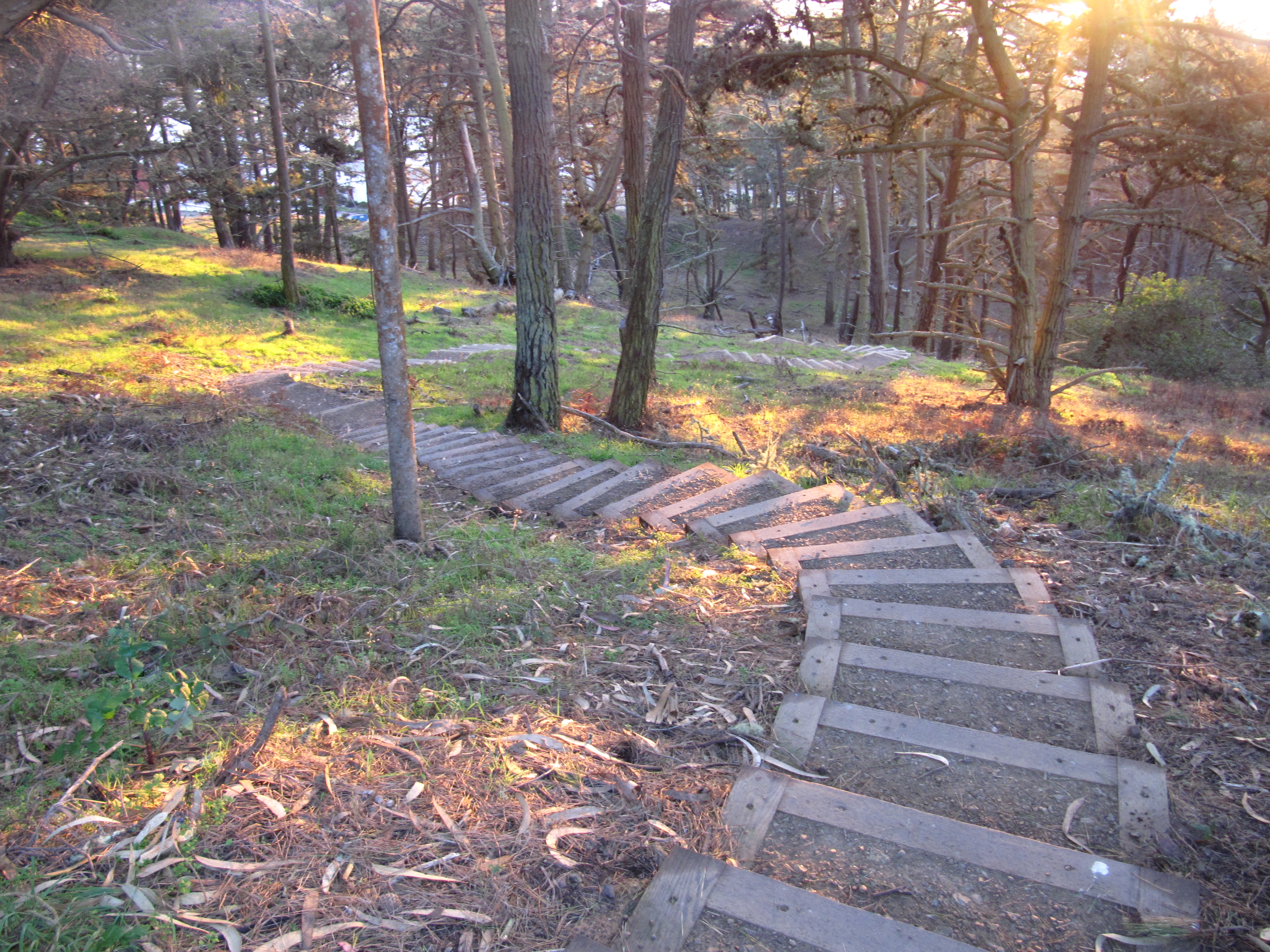 Presidio steps Presidio steps